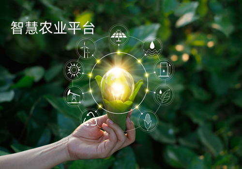 智慧农业生态系统